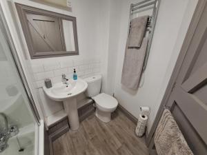 La salle de bains est pourvue de toilettes, d'un lavabo et d'une douche. dans l'établissement The White Hart, à Oxford