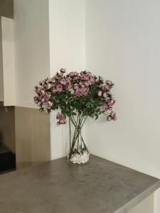 Fotografie z fotogalerie ubytování City Museum Apartments Banja Luka v destinaci Banja Luka + 21 fotografií