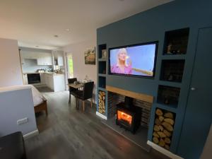 TV a/nebo společenská místnost v ubytování Laigh Letterpin Lodge + 3 fotografie