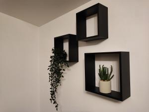 a wall with two black picture frames and a plant at Apartment Boras in Vir