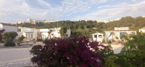 a view of a town with purple flowers and buildings at Casa Vacanze Villa Francesca in Peschici