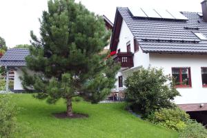 Zahrada ubytování Ferienwohnung am Domberg