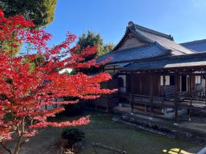 a tree with red leaves in front of a building at 天龍の宿 New Open一棟貸切Private Villa Arashiyama Tenryu-ji Temple徒歩2分 in Shimo saga