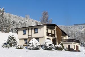 a house in the snow with snow covered trees at Apartmán Braun in Rokytnice nad Jizerou