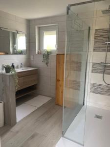 a bathroom with a shower and a sink at La maison du lavoir in Fain-lès-Montbard +7 photos