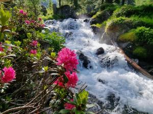 a stream with pink flowers in front of a waterfall at Klampererhof in Virgen