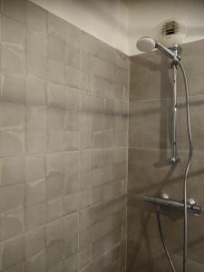 a shower with a shower head in a bathroom at Chambre dans appartement Saint Martin d'Hères près du Campus in Rhut