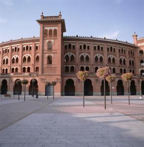 馬德里的住宿－Chic & Stylish Madrid Hideout，前面有树木的大型砖砌建筑