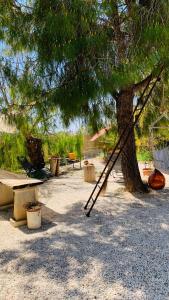 a ladder leaning against a tree next to a bench at Da Cimonella bed & breakfast in Torre Ovo