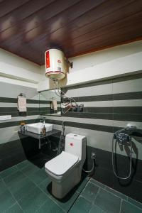 a bathroom with a shower and a toilet and a sink at Orchard Heaven in Manāli