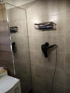 a shower in a bathroom with a shower at Chambre dans appartement Saint Martin d'Hères près du Campus in Rhut