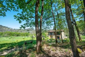 una casa in mezzo a un campo con alberi di Borgo Tassani a Casaleggio Boiro