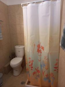 a bathroom with a toilet and a shower curtain at Sophie's Sunny Spot 2 in Yéfira