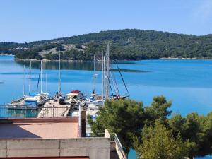 a group of boats docked in a marina on a lake at nautic world studio in Tisno