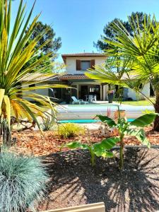a garden with plants in front of a house at Villa Entre Bordeaux et Arcachon in Salles