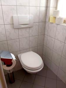 インスブルックにあるCharmante, ruhige Wohnung in Innsbruckのバスルーム(トイレ、トイレットペーパーディスペンサー付)