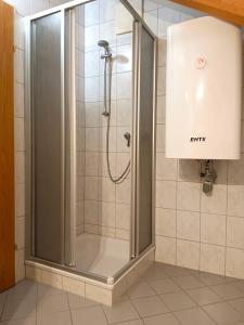 インスブルックにあるCharmante, ruhige Wohnung in Innsbruckのバスルーム(ガラスドア付きのシャワー付)