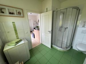 y baño con ducha y lavamanos. en Villa am Weinberg Waren Müritz en Waren
