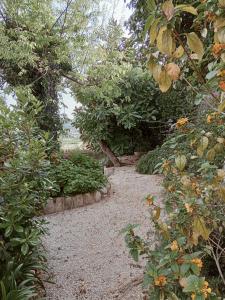 un sendero ajardinado con arbustos y árboles en "Le Chat Libre" Alloggio Turistico, en Monte San Biagio