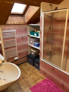 a bathroom with a shower and a sink at Grand chalet familial in Forest-Saint-Julien