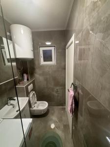 ein kleines Bad mit WC und Waschbecken in der Unterkunft Petar Apartment in Podgorica