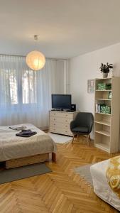 a bedroom with a bed and a desk and a chair at Mermaid house apartman in Szeged