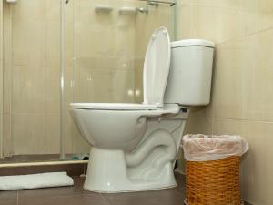 La salle de bains est pourvue de toilettes et d'une douche en verre. dans l'établissement Hotel Caribbean Coral, à San Andrés