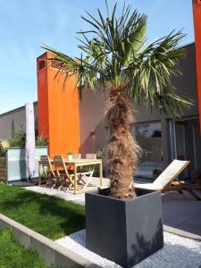 een palmboom naast een tafel en stoelen bij Penthouse Duplex - Terrace and garden with Eiffel Tower view in Saint-Ouen
