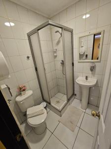 Vonios kambarys apgyvendinimo įstaigoje Hostal Aleros