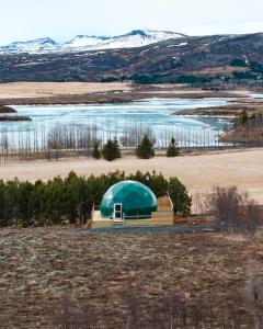 einem grünen Kuppelzelt auf einem Feld neben einem Wasserkörper in der Unterkunft Golden Circle Domes - Lake View in Selfoss
