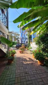 a courtyard with potted plants and a building at Ios Guest House 2 in Kobuleti