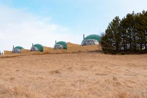 תמונה מהגלריה של Golden Circle Domes - Lake View בסלפוס