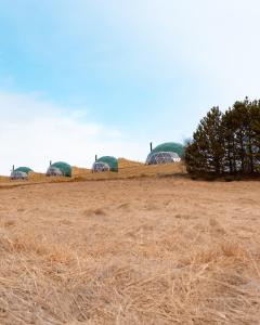 תמונה מהגלריה של Golden Circle Domes - Lake View בסלפוס