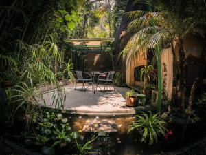 a patio with a table and chairs and plants at Baraka Antigua in Antigua Guatemala +17 photos
