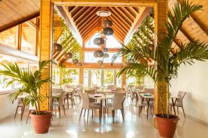 Hotel Caribbean Coral餐厅或其他用餐的地方