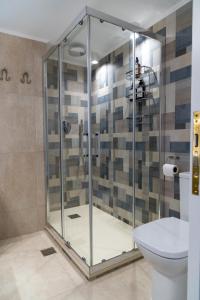 a glass shower stall in a bathroom with a toilet at 50 DANAIDES in Argos