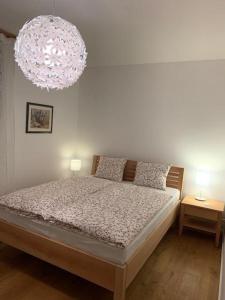 una camera con letto e lampadario a braccio di Apartement stilvoll und großzügig a Windischgarsten