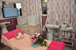 哈科特港的住宿－SPA LAVENDER AND SUITES，猫躺在医院的床上