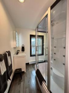 a bathroom with a shower and a sink at Saugerties Modern Charm with Creekside access and views in Saugerties