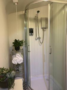 ニューカッスルにあるMountainside Cabinの浴室のガラス扉付きシャワー