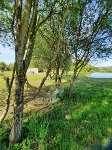 een bankje in het gras naast een boom bij Chez Marc in Lubersac