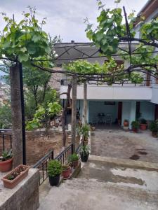 a view of a house with a patio with potted plants at VodaHouse in Gjirokastër