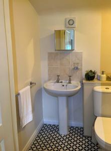 ニューカッスルにあるMountainside Cabinの洗面台とトイレ付きのバスルーム