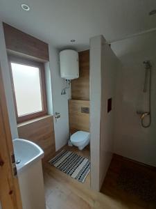 a small bathroom with a toilet and a window at Bieszczadzki Bohater Domki 533-502-137 in Polańczyk