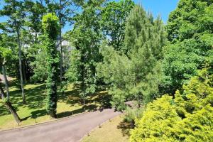 einen Blick über eine Straße in einem Park mit Bäumen in der Unterkunft Bulle de fraîcheur - Studio confort sur la plage in La Baule + 20 Fotos