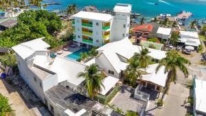 圣安德烈斯Hotel Caribbean Coral的享有棕榈树白色房屋和大海的空中景致