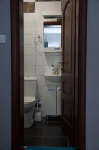 a bathroom with a toilet and a sink at Hotel Mountain View Inn in Gusinje