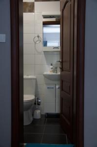 GusinjeHotel Mountain View Inn的带马桶和水槽的浴室