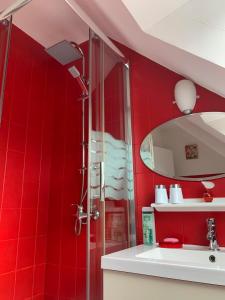 uma casa de banho vermelha com um chuveiro e um lavatório em Les Grillettes em Ploërmel