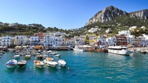 a group of boats docked in a harbor with buildings at Donna Rosa Capri - Charming House by the Sea in Capri +39 photos